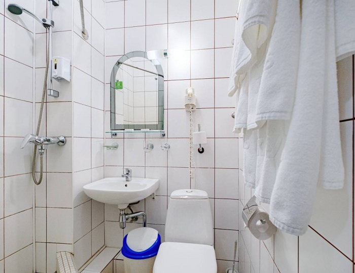 Семейный 2-местный стандарт - Санаторий «Катунь» Белокуриха