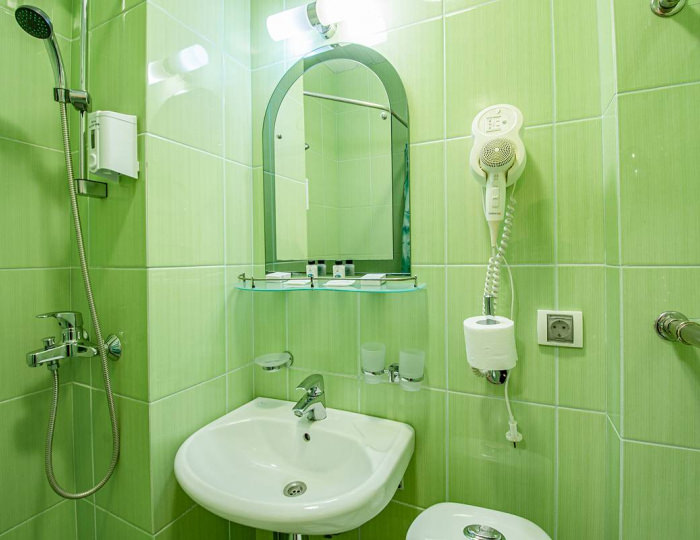 Стандарт 2-местный ПОДСЕЛЕНИЕ - Санаторий «Катунь» Белокуриха