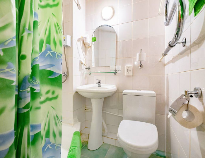 Стандарт 1-местный - Санаторий «Катунь» Белокуриха