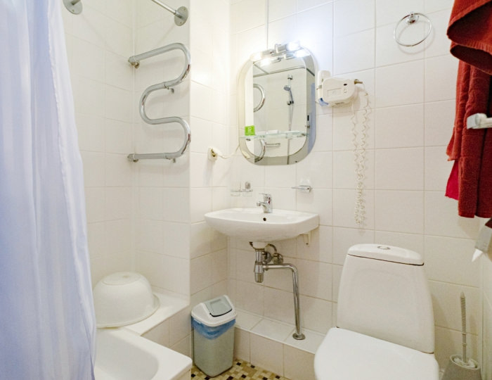 Семейный 2-местный стандарт (подселение) - Санаторий «Сибирь» Белокуриха