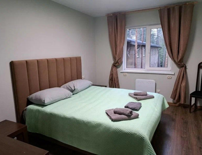 Номер полулюкс с 1 двуспальной кроватью - База отдыха «Кургала» Косколово