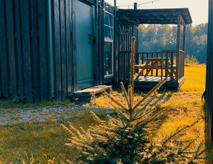 База отдыха «Лава Коттеджи» Ручьи