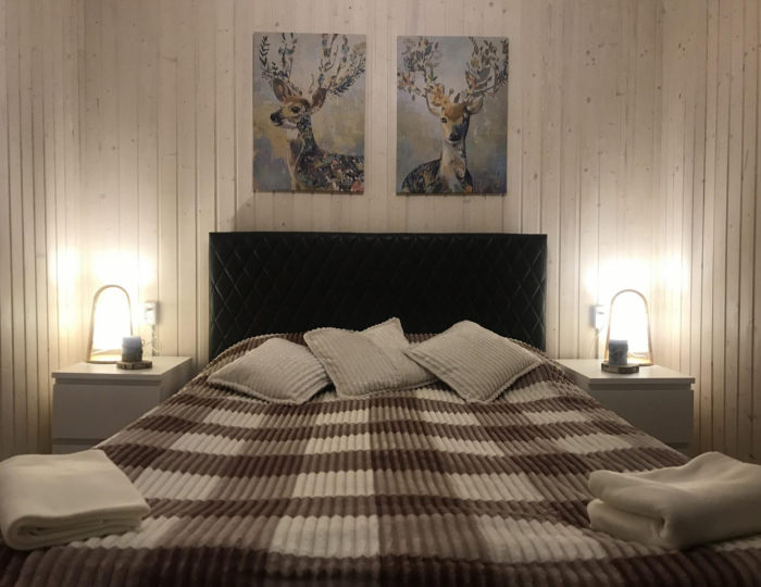 Коттедж стандарт с 1 двуспальной кроватью №11 - База отдыха «Янтарный берег» Черная Лахта