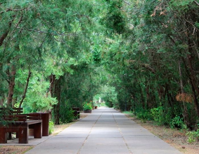 Санаторий «Саки»