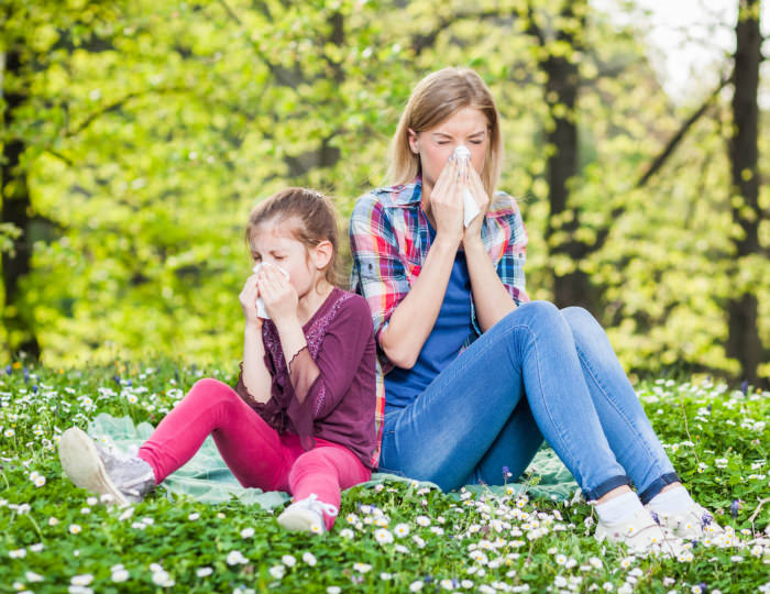 Оздоровительные услуги - Санаторий «Эллада» (Каникулы в Анапе) ФНС