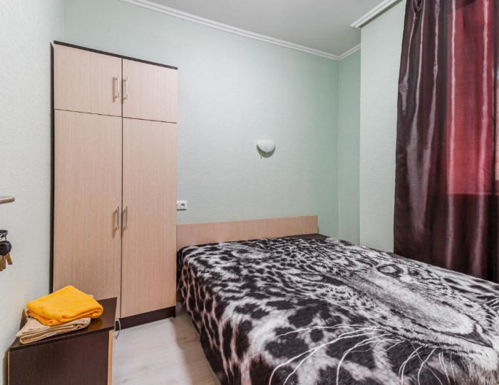 Номер эконом с 1 двуспальной кроватью - Мини-отель Tiras Hotel / Тирас Москва