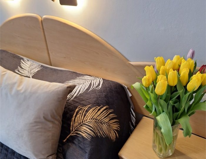 «ЗАКАТ» 12 СТАНДАРТНЫЙ ЧЕТЫРЕХМЕСТНЫЙ НОМЕР С ДВУСПАЛЬНОЙ КРОВАТЬЮ, ДВУСПАЛЬНЫЙ ДИВАН - Гостевой дом «Цитрус» Геленджик