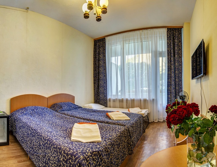 Эконом 2-местный - Гостиничный комплекс «Новый Свет» Судак