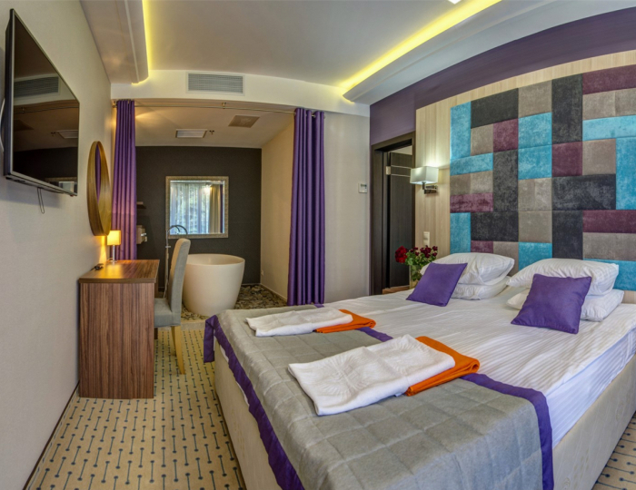 Люкс 2-местный 2-комнатный с ванной в спальне - Гостиничный комплекс «Новый Свет» Судак