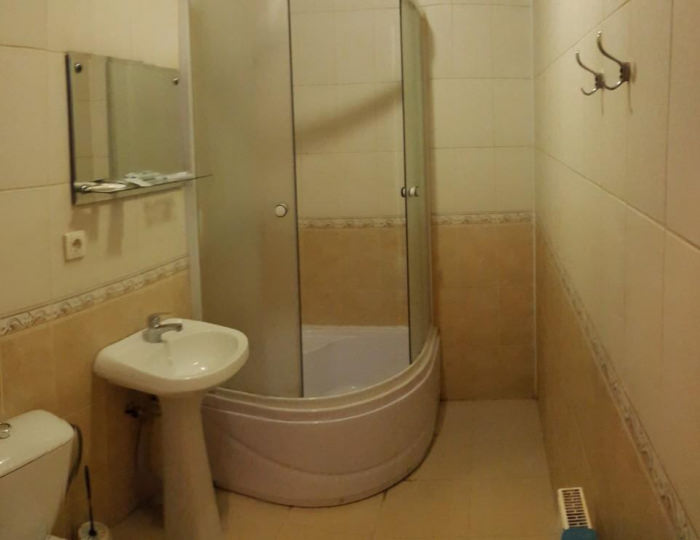 Номер стандарт с 1 двуспальной кроватью - Отель «Лесной» Лесной городок