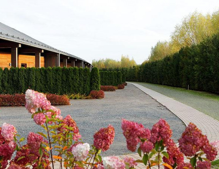 Номер студия улучшенный с 1 двуспальной кроватью (корпус Бумеранг) - База отдыха «Лисья нора» Игнатово