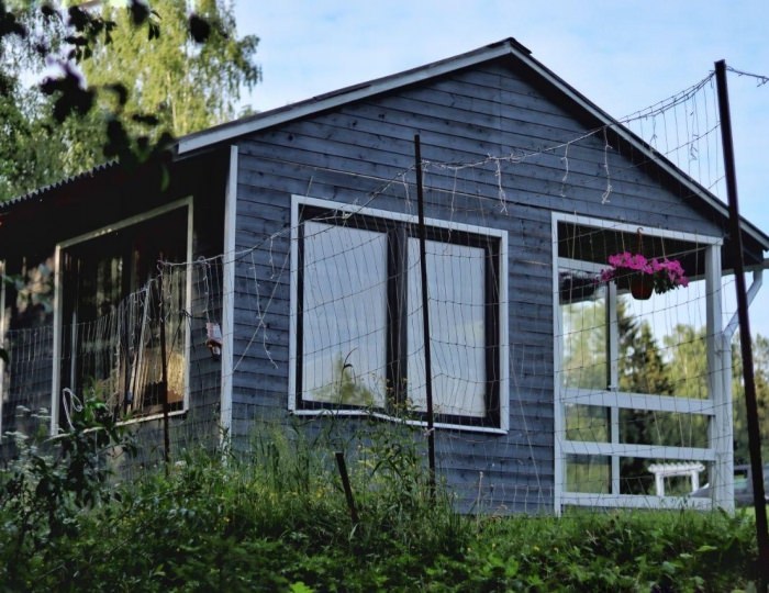 База отдыха «Прованс» Шаховская