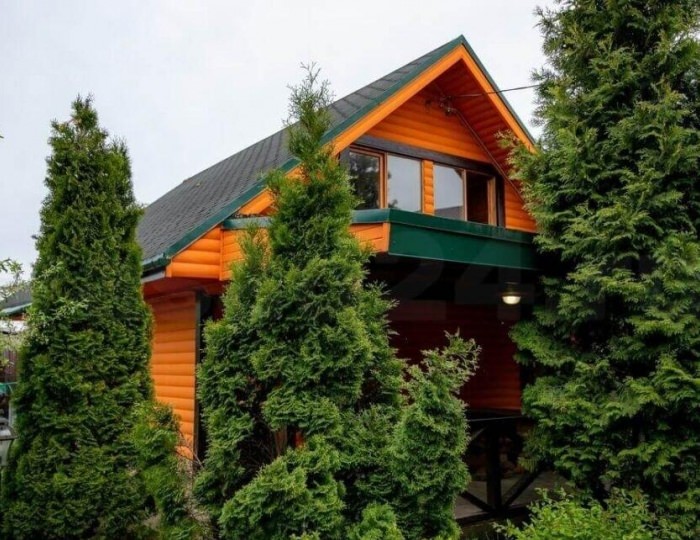 Гостевой дом «Домик с баней Mечта» Домодедово