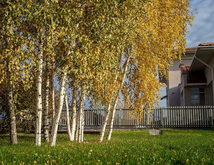 Гостевой дом «Петербург» Чандрово