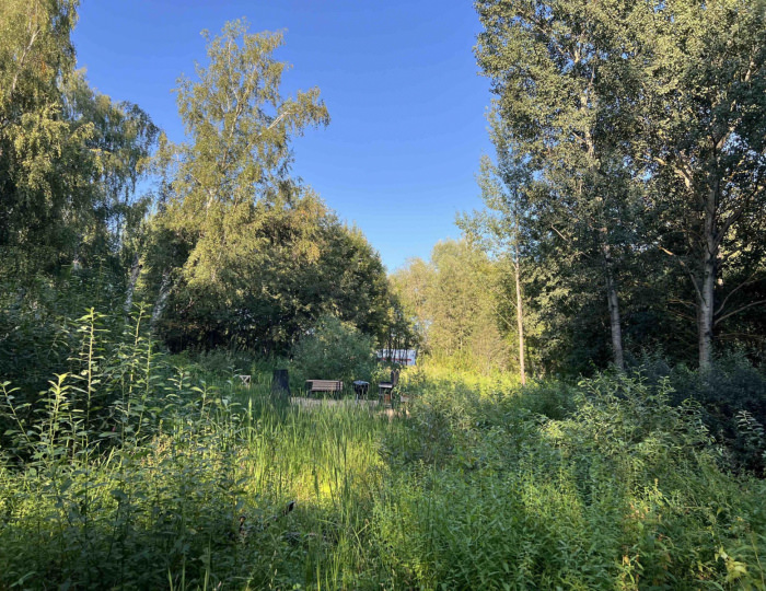 Бунгало улучшенное - Глэмпинг «Озеро Ле» Дубна