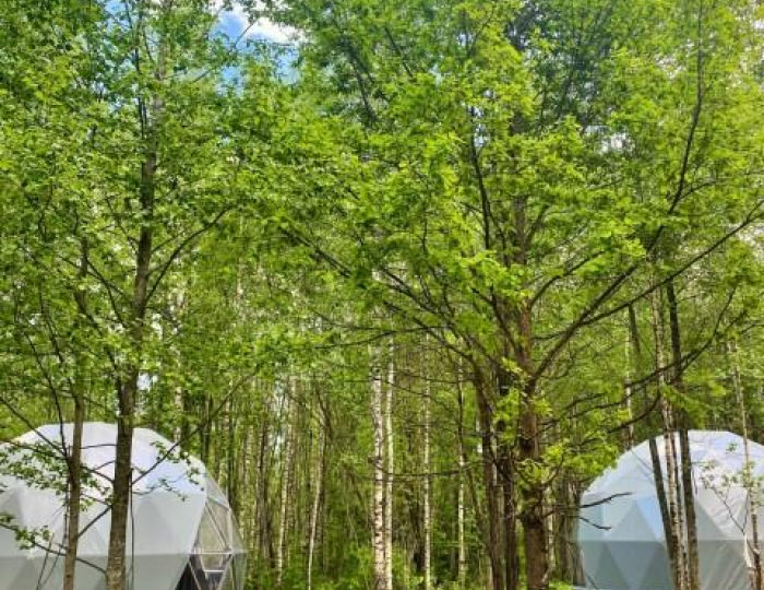 Бунгало улучшенное - Глэмпинг «Озеро Ле» Дубна