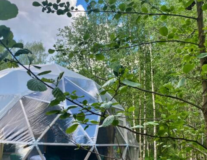 Бунгало стандарт - Глэмпинг «Озеро Ле» Дубна