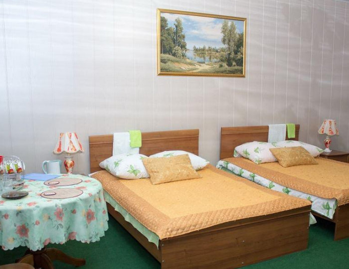 Номер комфорт с 2 односпальными кроватями - Отель «Цна» Моршанск