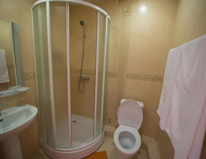 Номер стандарт с 1 двуспальной кроватью - Отель «Колизей» Тамбов