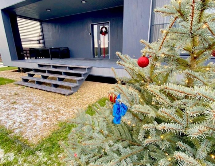 Коттедж «Лесная ягода» Ступино