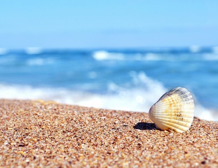 Море и пляж - Пансионат Undersun Vityazevo / Андерсан Витязево