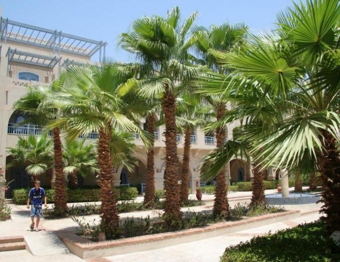 El Wekala Aqua Park Resort 4 звезды, Таба, Египет