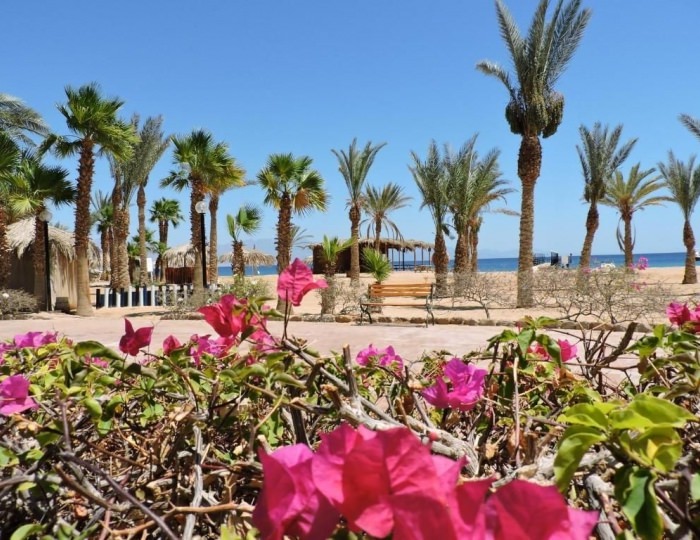 TIME Coral Nuweiba Resort 4 звезды, Нувейба, Египет