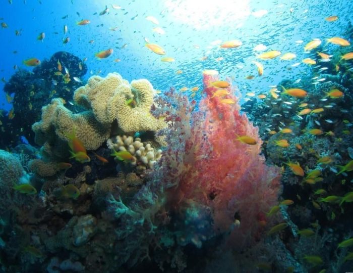 Fanadir Hotel 4 звезды, Эль-Гуна, Египет