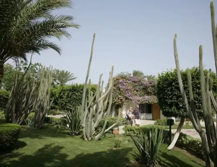 Shams Safaga Resort 4 звезды, Сафага, Египет