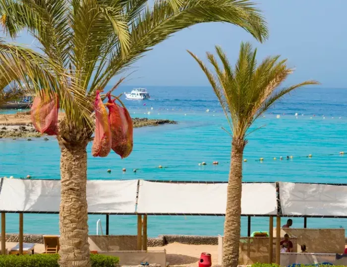 Arabella Azur Resort 4 звезды, Хургада, Египет