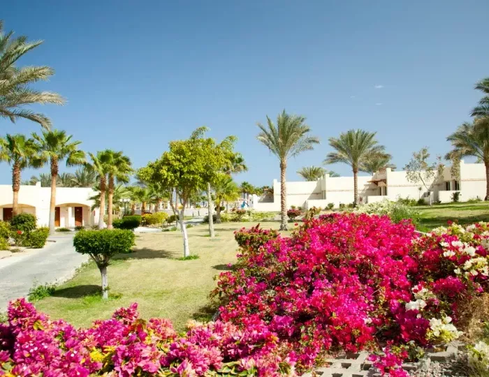 Coral Beach Hurghada 4 звезды, Хургада, Египет