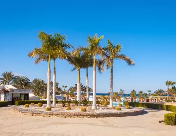 Coral Beach Hurghada 4 звезды, Хургада, Египет