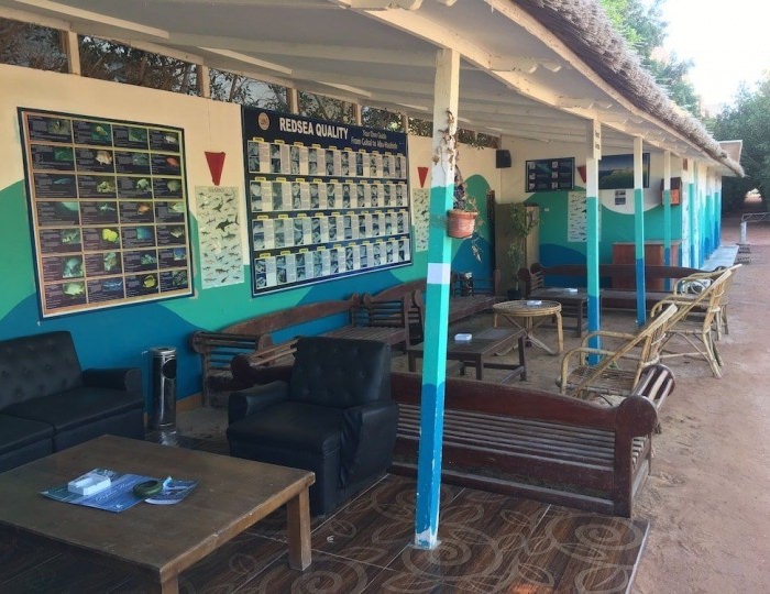 New Davinci Beach & Diving Resort 3 звезды, Хургада, Египет