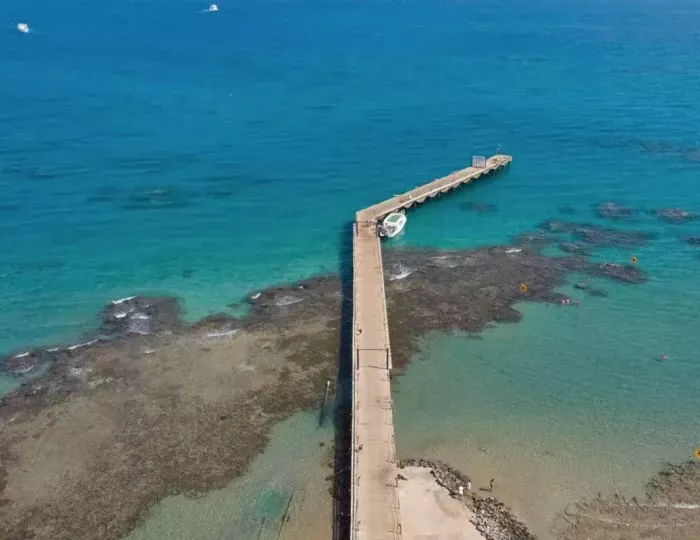 Desert Rose Resort 5 звезд, Хургада, Египет