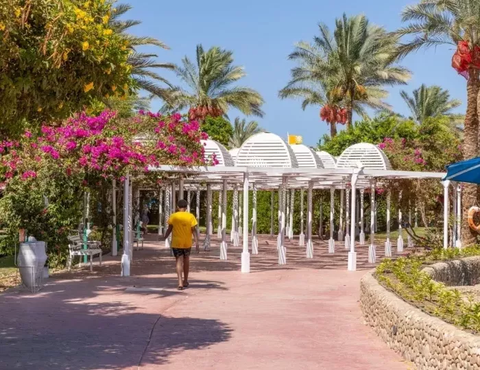 Desert Rose Resort 5 звезд, Хургада, Египет