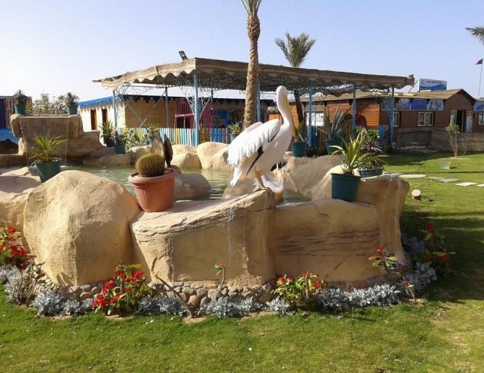 Hawaii Le Jardin Aqua Park Resort 4 звезды, Хургада, Египет