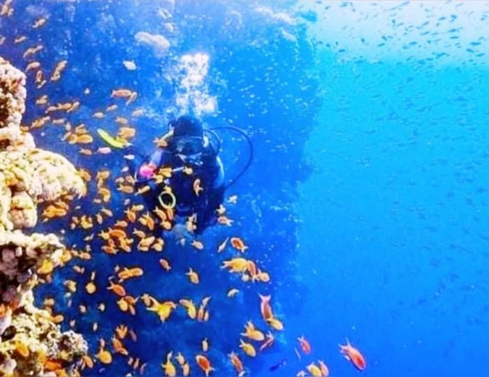 El Geisum Village 2 звезды, Хургада, Египет