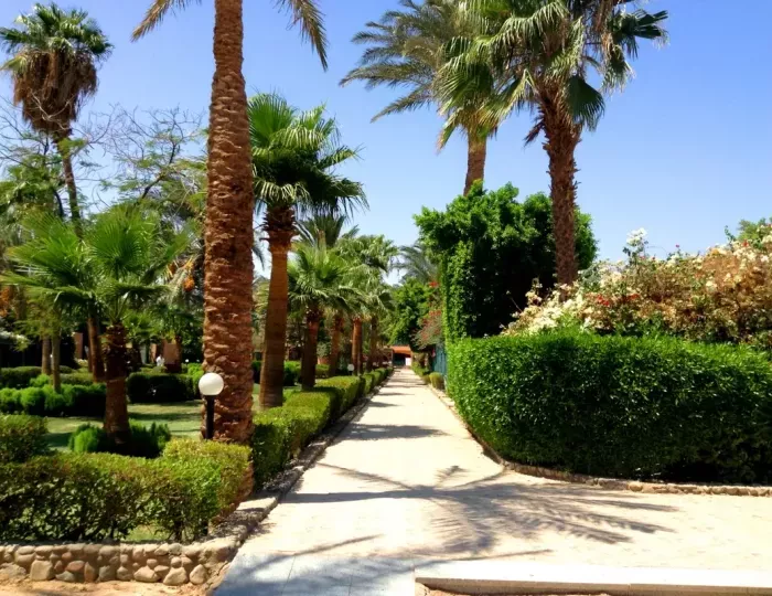 Giftun Azur Resort 3 звезды, Хургада, Египет