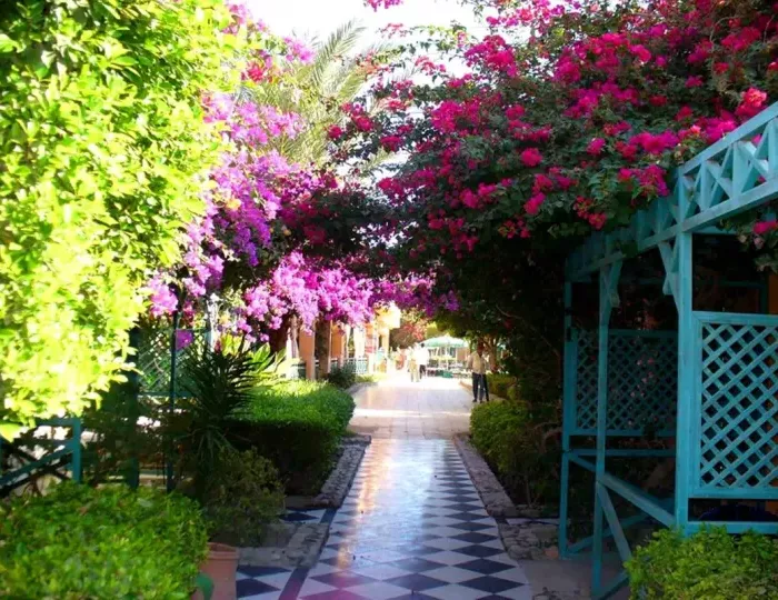 Giftun Azur Resort 3 звезды, Хургада, Египет