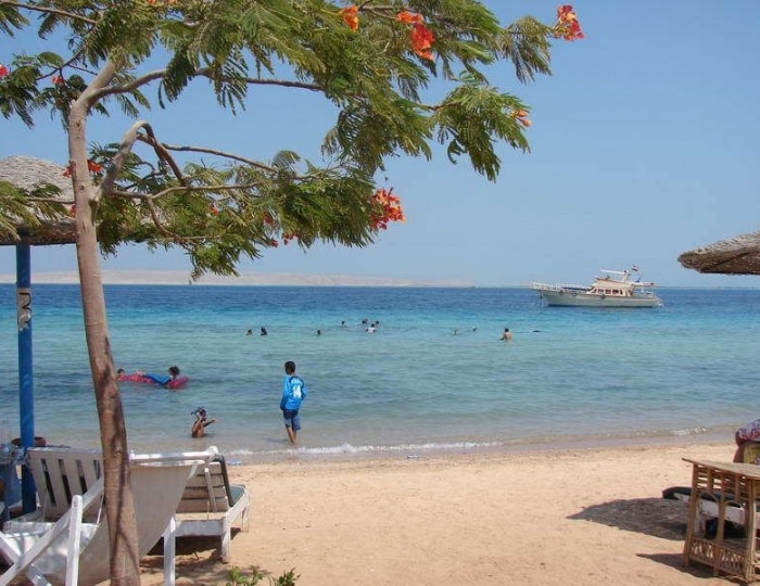 Golden Rose Hotel 3 звезды, Хургада, Египет