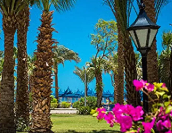 The Grand Hotel Hurghada 4 звезды, Хургада, Египет