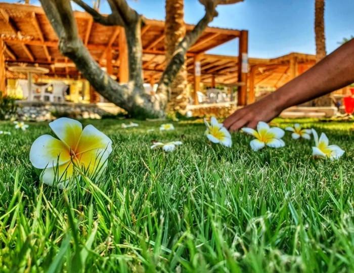 Palm Beach Resort 4 звезды, Хургада, Египет