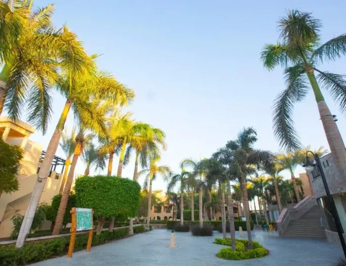 Stella Makadi Gardens Resort & Spa 5 звезд, Хургада, Египет