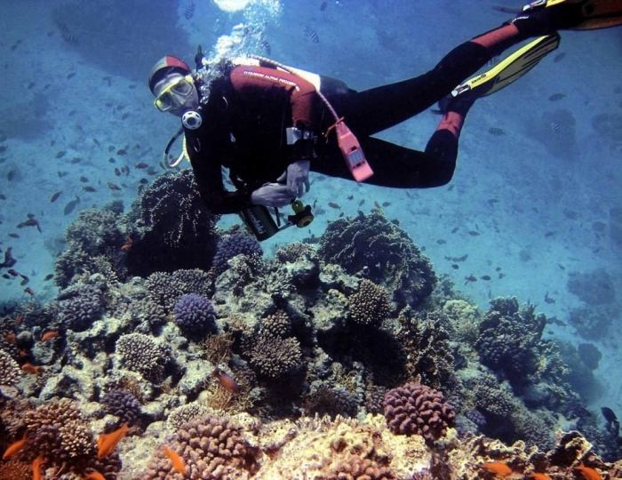 Sunrise Holidays Resort (Adults Only) 5 звезд, Хургада, Египет