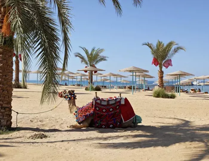 The Three Corners Sunny Beach Resort 4 звезды, Хургада, Египет