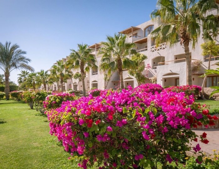 Fort Arabesque Resort, Spa & Villas 4 звезды, Хургада, Египет