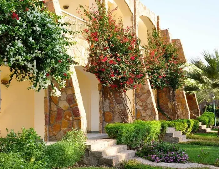 Brayka Bay Resort 5 звезд, Марса Алам, Египет