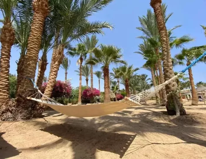 Brayka Bay Resort 5 звезд, Марса Алам, Египет