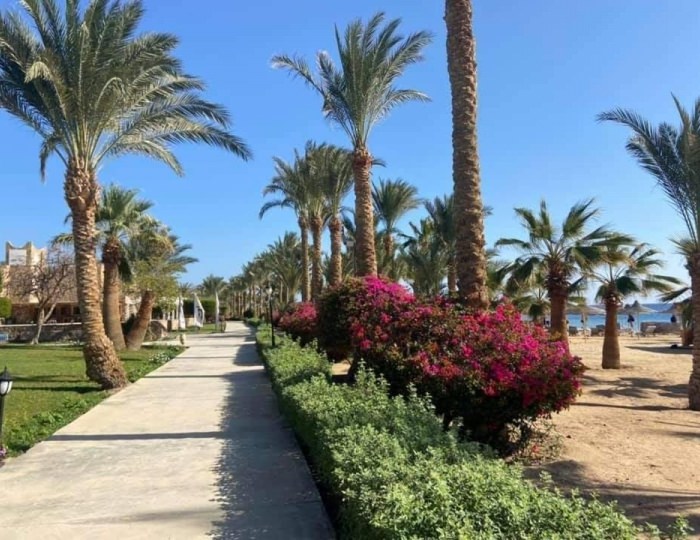 Brayka Bay Resort 5 звезд, Марса Алам, Египет