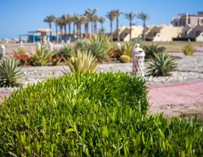 Onatti Beach Resort (Adults Only) 4 звезды, Марса Алам, Египет